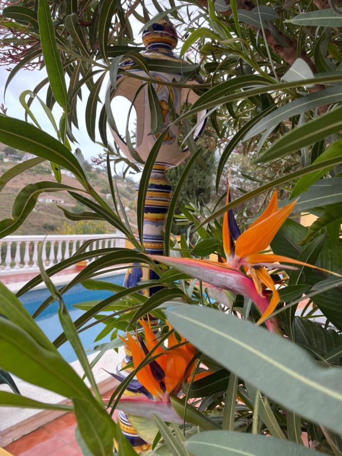 Cómpeta Villa Abril מראה חיצוני תמונה